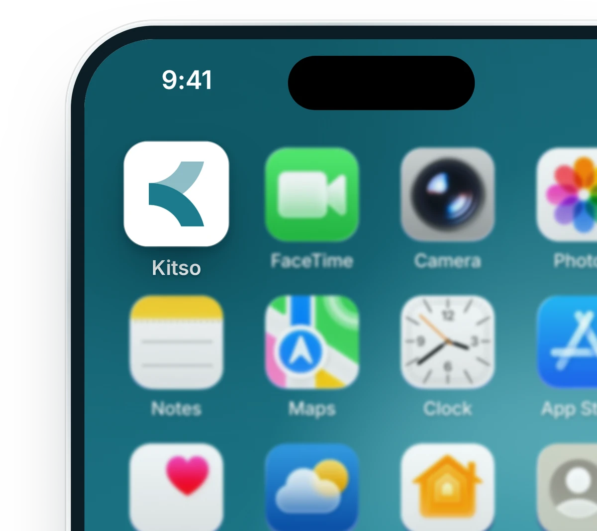 Kitso for Business installed on an iPhone